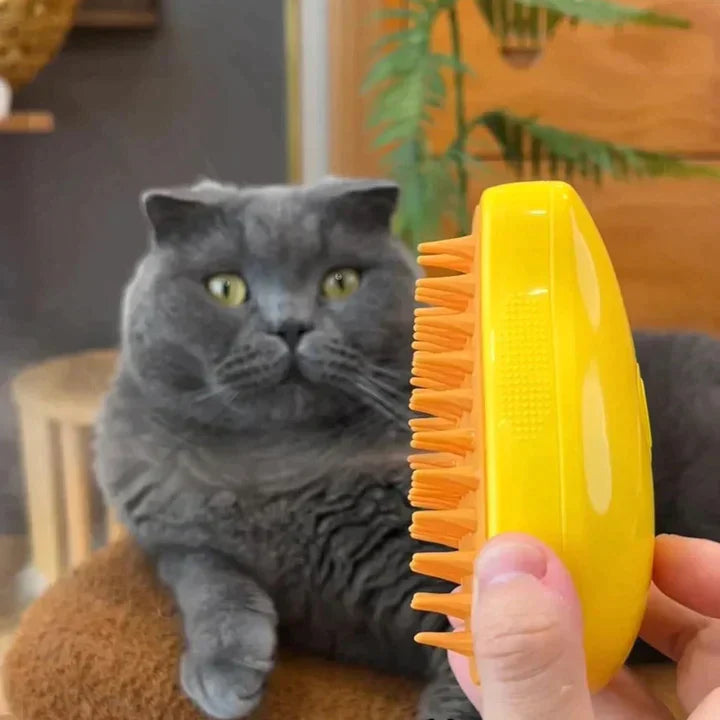 PetGlow Dampf