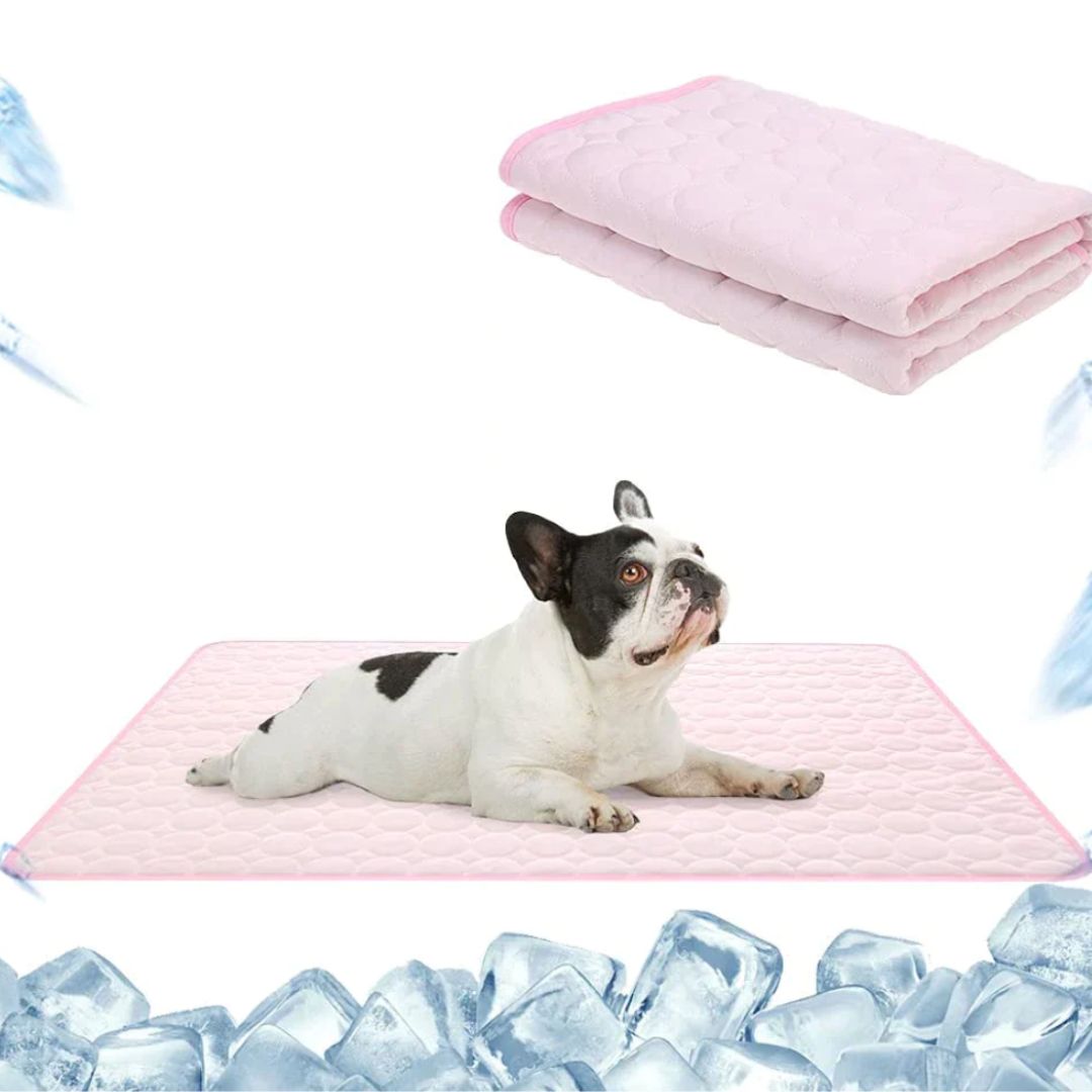 CoolComfort PetMat – Premium Kühlmatte für Hunde & Katzen
