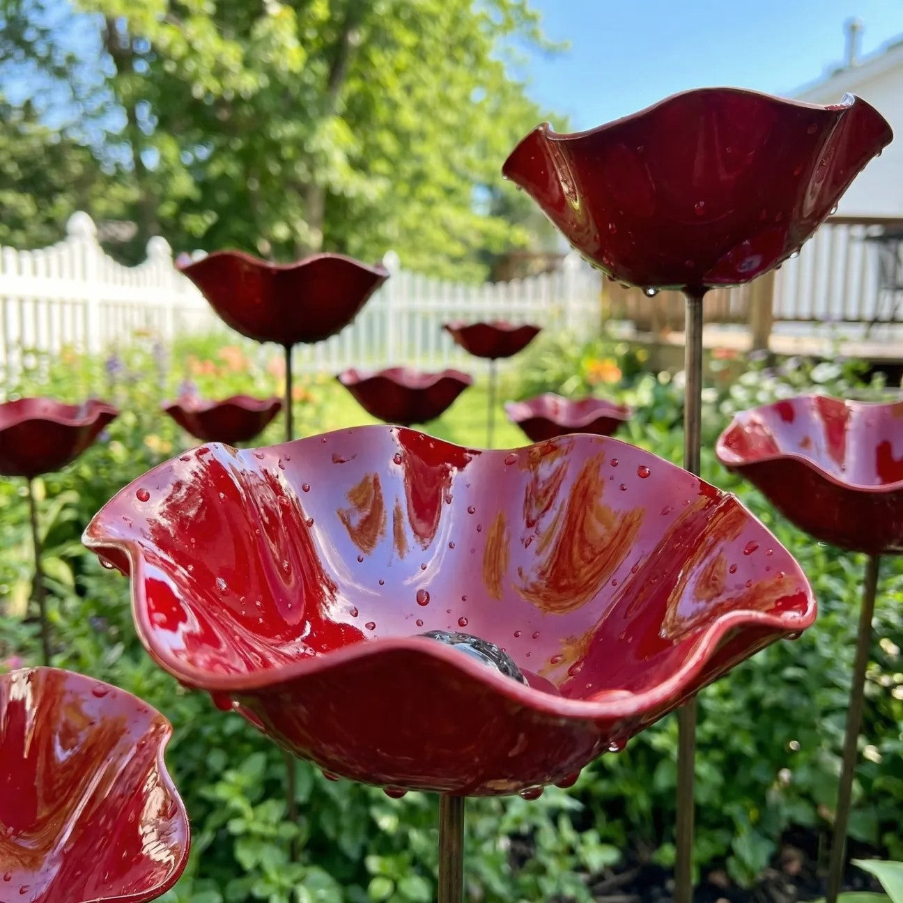Rosella™  - EdelBlüte Gartenkunst