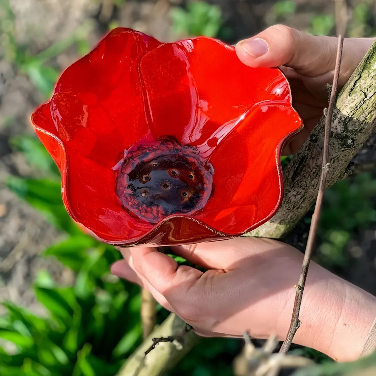 Rosella™  - EdelBlüte Gartenkunst