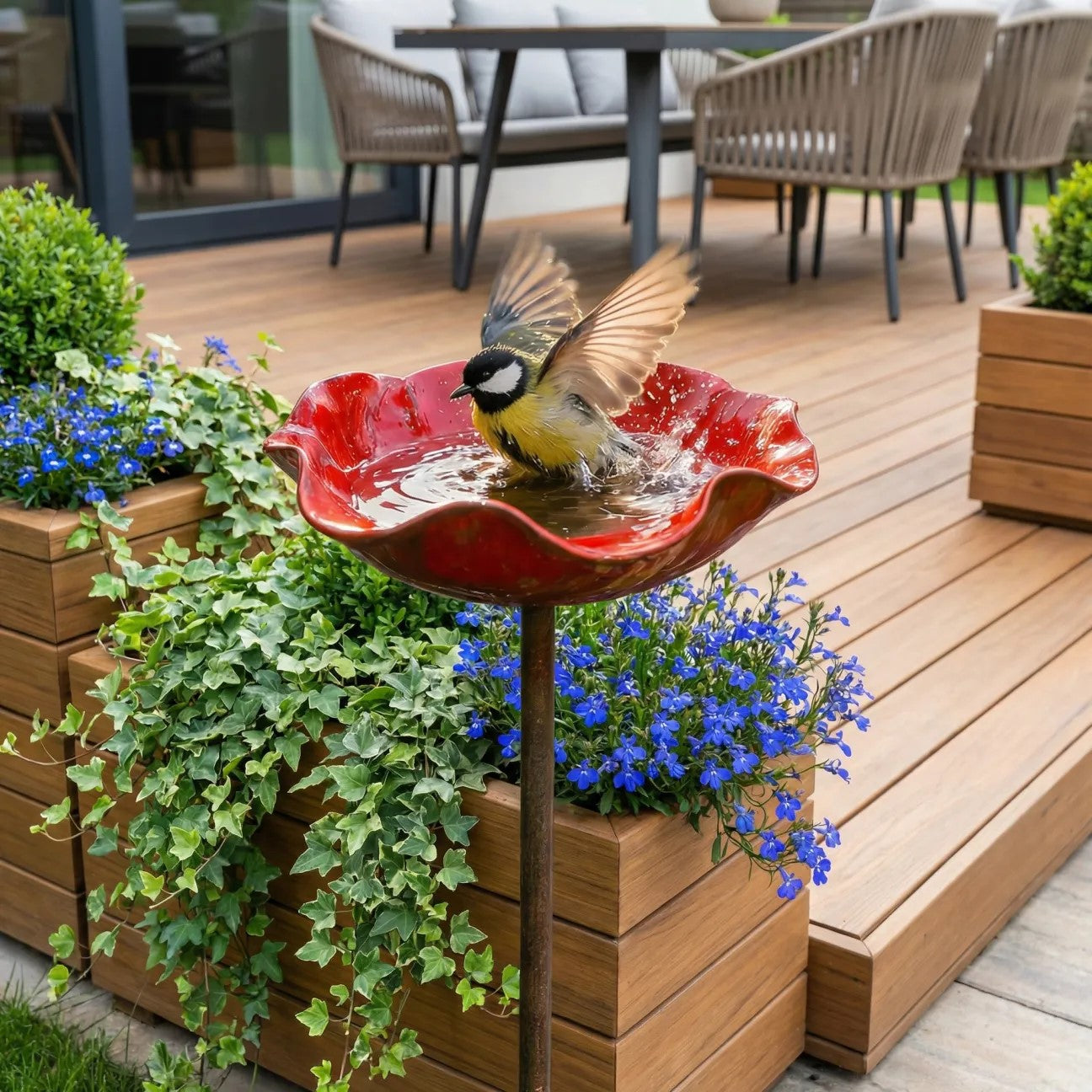 Rosella™  - EdelBlüte Gartenkunst
