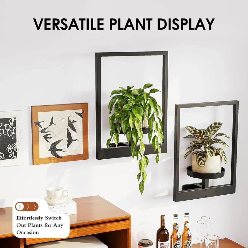 FloraView Panorama™ – 360° Pflanzenblick